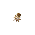 Brillo estrella