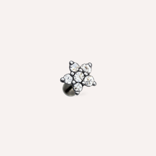 Flor 5 pétalos